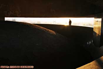 IMG_ (10994)